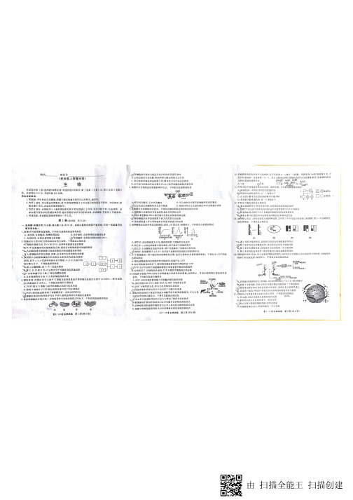 2019届安徽省江淮名校高三12月联考生物试卷(PDF版)