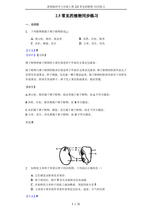 浙教版科学七年级上册 2.5常见的植物 同步练习