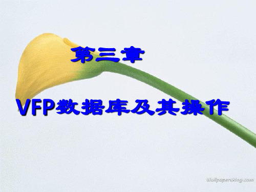 沈阳农业大学vf第三章PPT课件