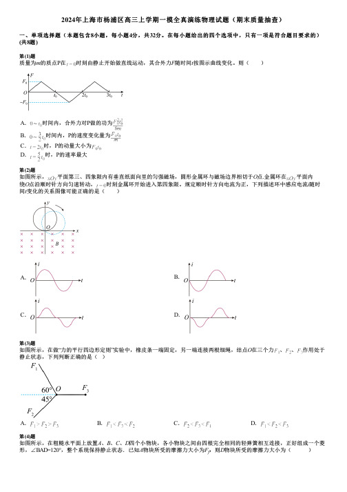 2024年上海市杨浦区高三上学期一模全真演练物理试题(期末质量抽查)