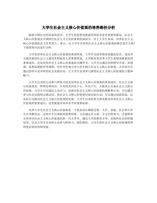 大学生社会主义核心价值观的培养路径分析