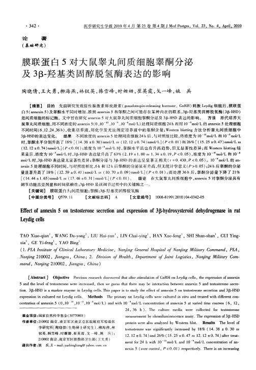 膜联蛋白5对大鼠睾丸间质细胞睾酮分泌及3β-羟基类固醇脱氢酶表达的影响