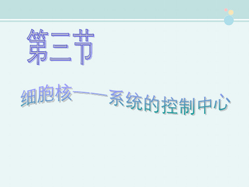 〖2021年整理〗《细胞核》完整版教学课件PPT