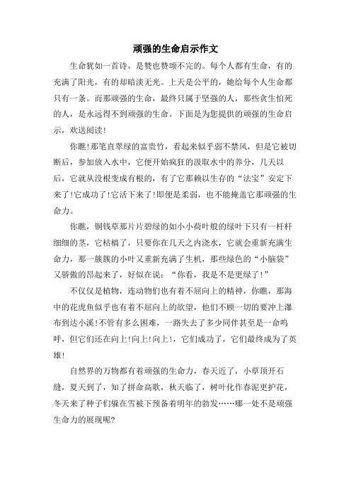 顽强的生命启示作文