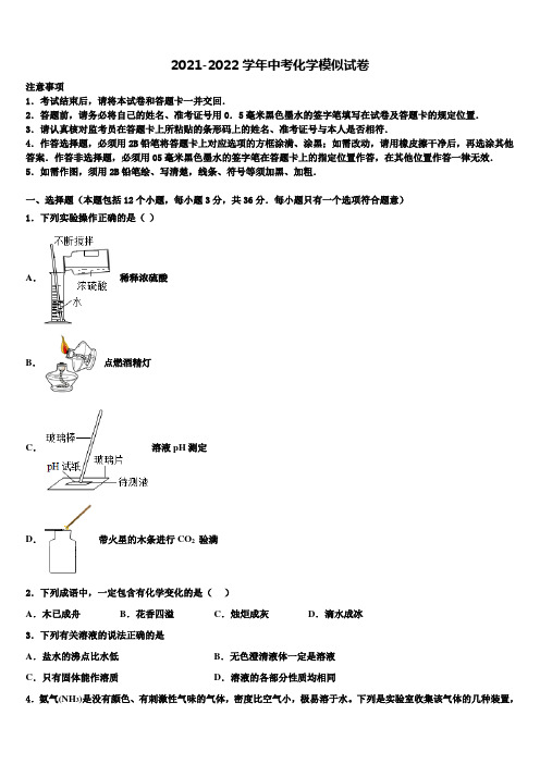 2022年北京市海淀区十一校中考化学适应性模拟试题含解析