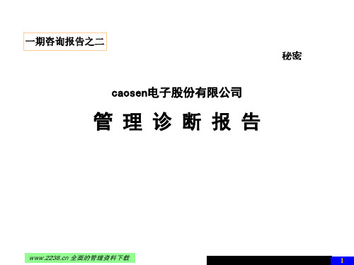 XX电子股份有限公司内部管理诊断报告