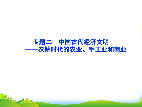 高三历史第一轮复习 模块一 专题二 中国古代经济文明——农耕时代的农业、手工业和商业 课件 新人教