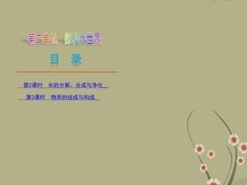 中考化学复习方案 第二单元 探秘水世界课件 鲁教版