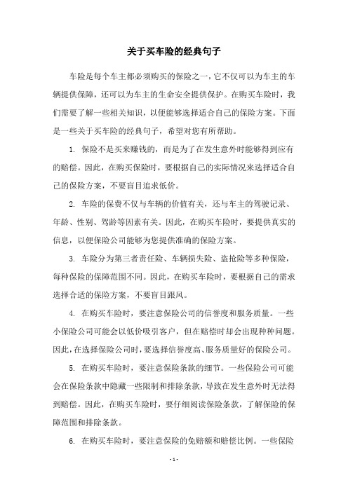 关于买车险的经典句子