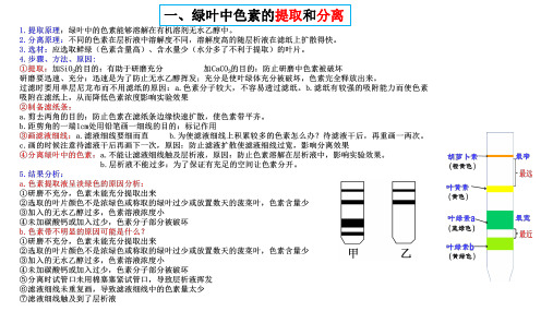 【课件】高三生物一轮复习课件：光合作用 