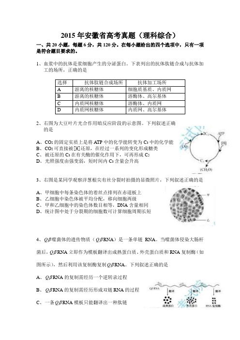 2015年安徽省高考真题(理科综合)