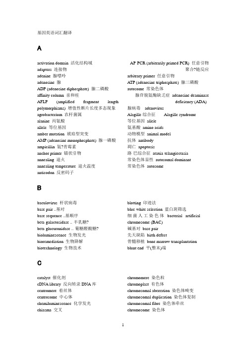 基因英语词汇翻译