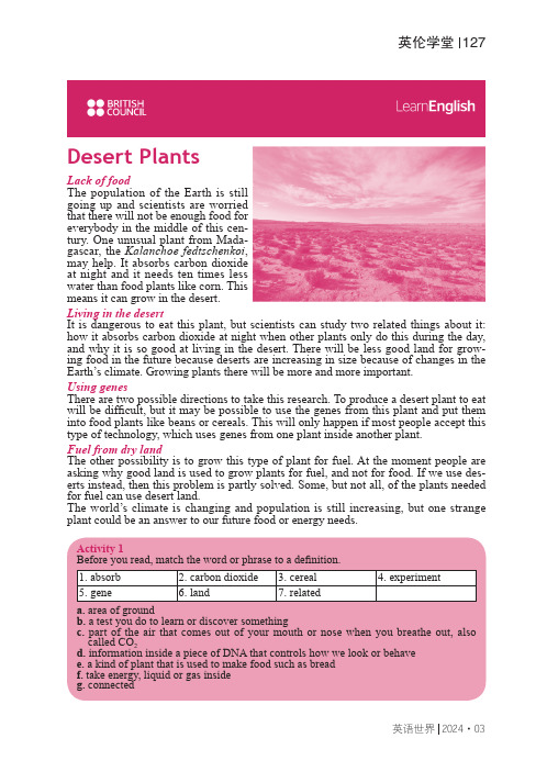 Desert_Plants