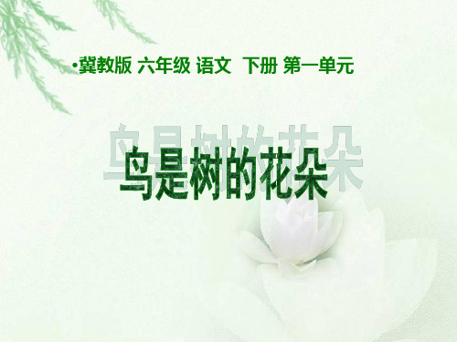 《鸟是树的花朵》ppt课件(2篇)