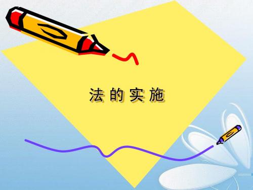 法的实施