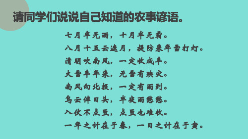 2024年秋统编版七年级历史上册 第20课 三国两晋南北朝时期的科技与文化(课件)