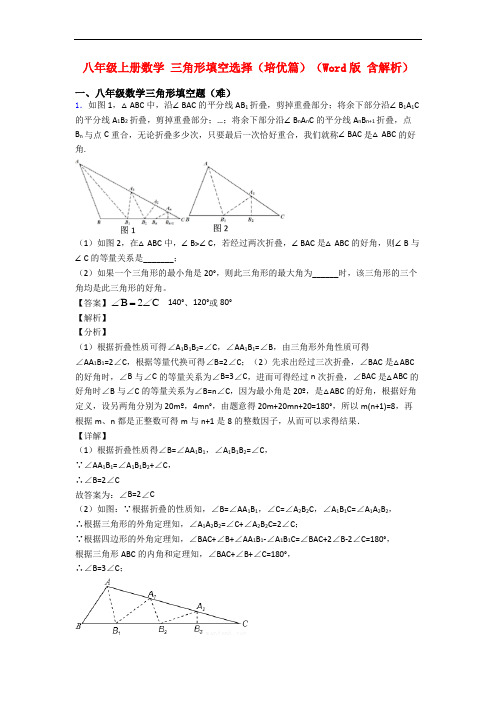 八年级上册数学 三角形填空选择(培优篇)(Word版 含解析)