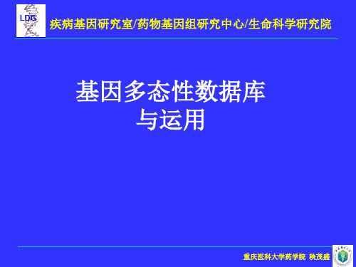 基因多态性数据库与运用