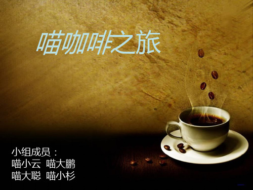 创业者访谈报告展示最终稿PPT课件