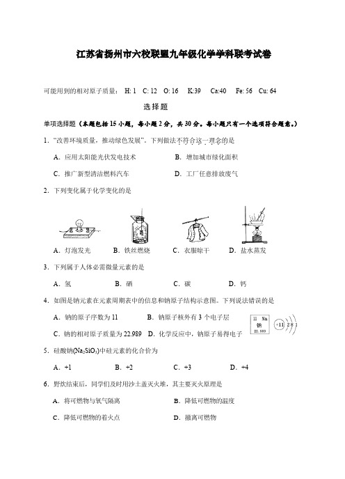 江苏省扬州市六校联盟九年级化学学科联考试卷及参考答案 