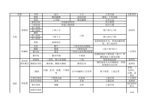 系统解剖学-肌肉总结(完整版)