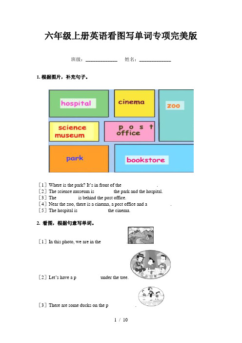 六年级上册英语看图写单词专项完美版