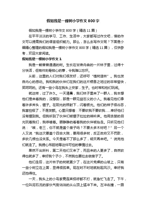 假如我是一棵树小学作文800字（精选11篇）