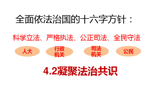 人教版九上道德与法治4.2 凝聚法治共识 (45张PPT)