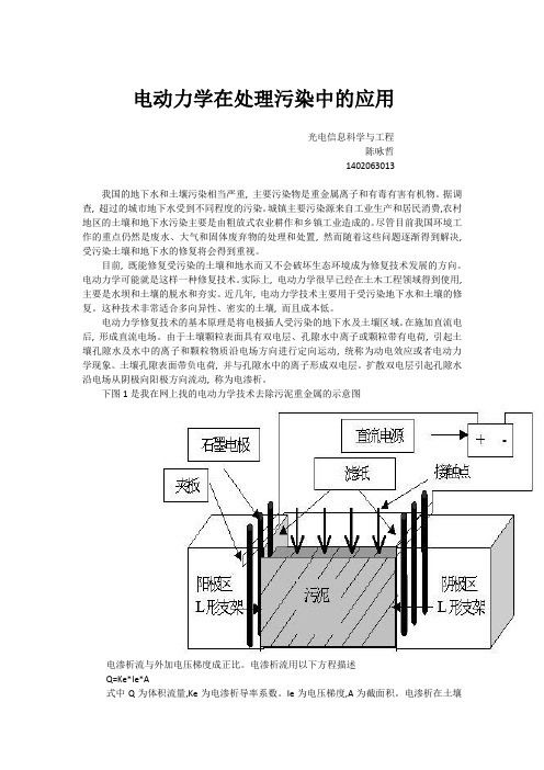 电动力学在处理污染中的应用