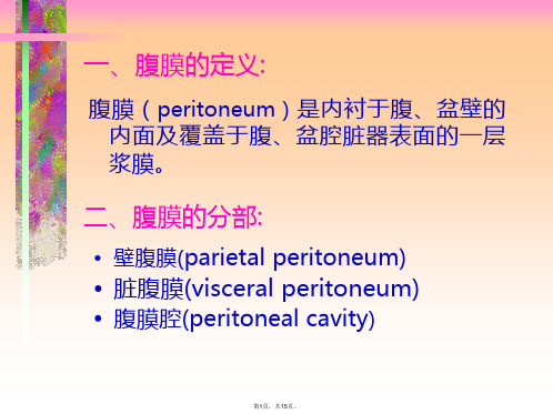 腹膜和腹膜腔(共15张PPT)