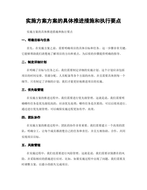 实施方案方案的具体推进措施和执行要点