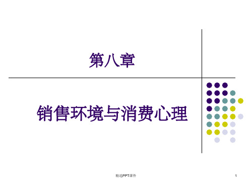 第八章 销售环境与消费心理PPT课件