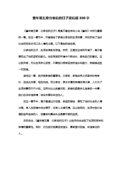 童年第五章分家后的日子读后感300字