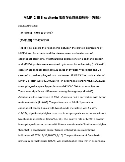 MMP-2和E-cadherin蛋白在食管黏膜病变中的表达