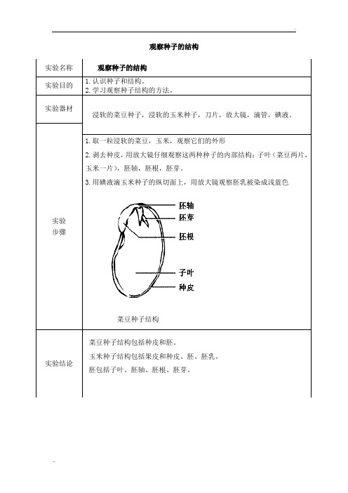 观察种子的结构实验报告