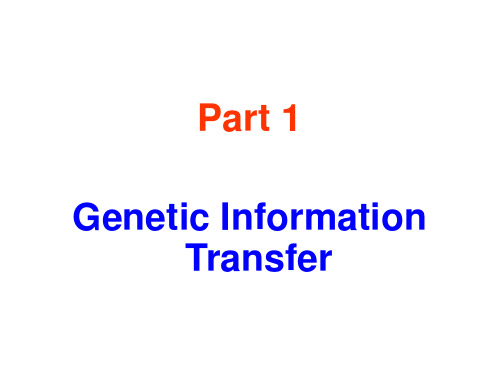 DNA 复制(英文版)