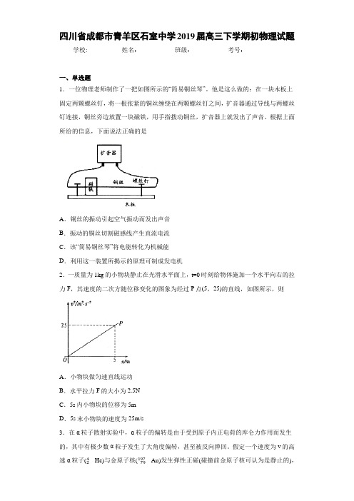 四川省成都市青羊区石室中学2019届高三下学期初物理试题