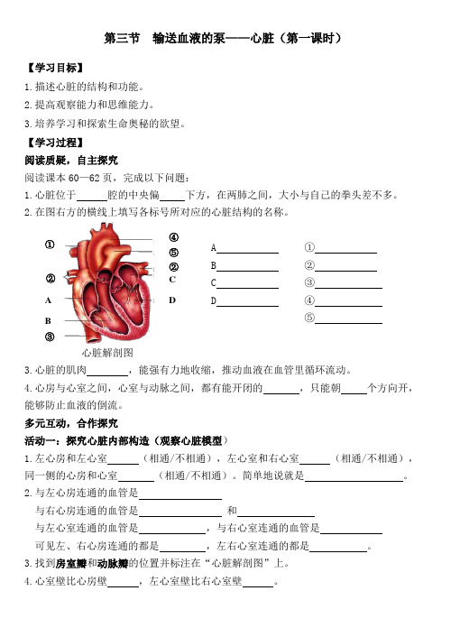 输送血液的泵——心脏导学案