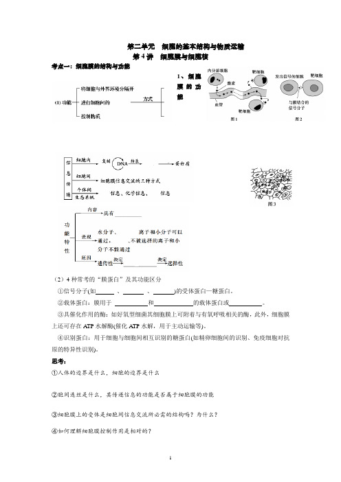 高三生物一轮复习学案细胞膜与细胞核