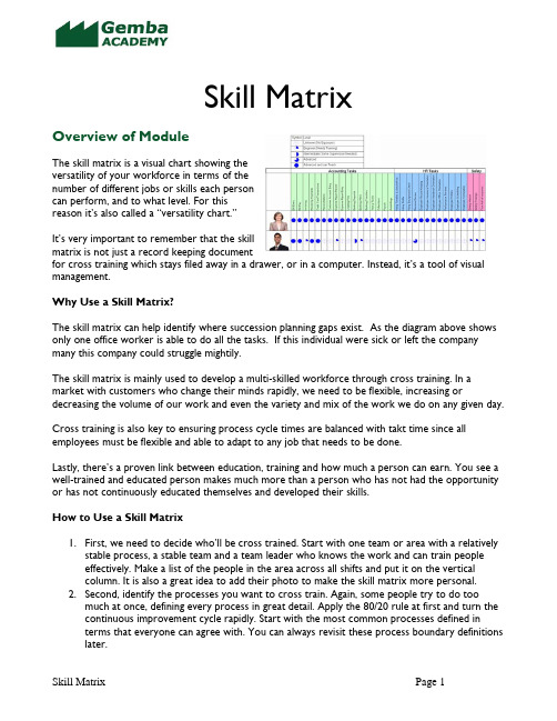 Training 2 - Skill_Matrix overview (Gemba Academy Presentation)