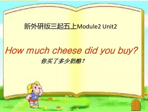 外研社英语M2-U2《How-much-cheese-did-you-buy》PPT课件