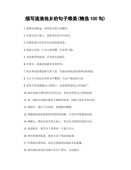 描写流浪他乡的句子唯美(精选100句)