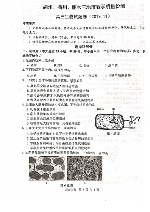 【生物扫描稿】2019年11月 湖丽衢三地高三教学质量检测卷(含答案)