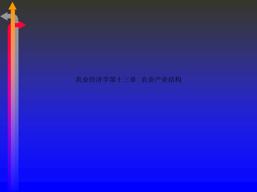 农业经济学第十三章 农业产业结构