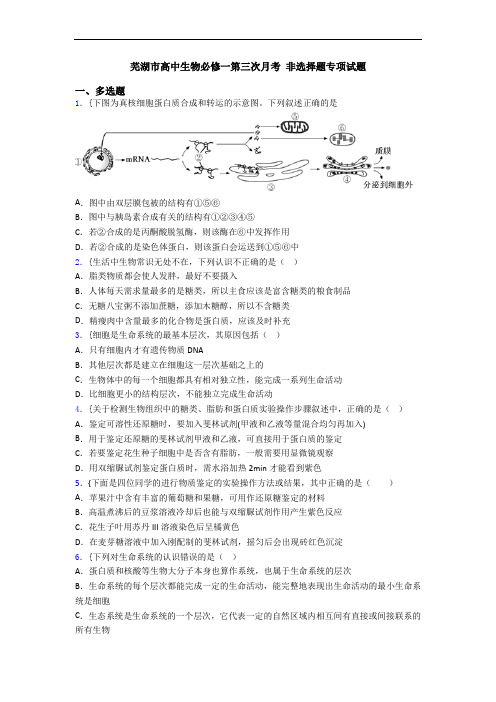 芜湖市高中生物必修一第三次月考 非选择题专项试题