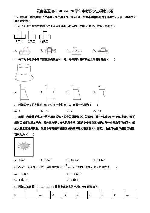 云南省玉溪市2019-2020学年中考数学三模考试卷含解析