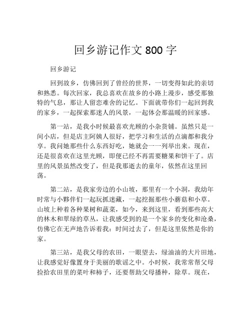 回乡游记作文800字