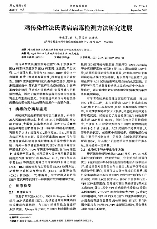 鸡传染性法氏囊病病毒检测方法研究进展