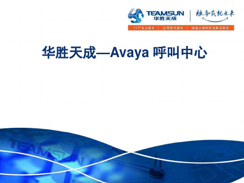 Avaya全套呼叫中心解决的方案