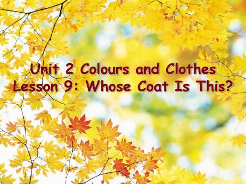 Unit 2 Colours and Clothes Lesson 9 Whose Coat Is This 课件